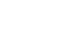 GSG_9_badge