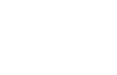 bvg